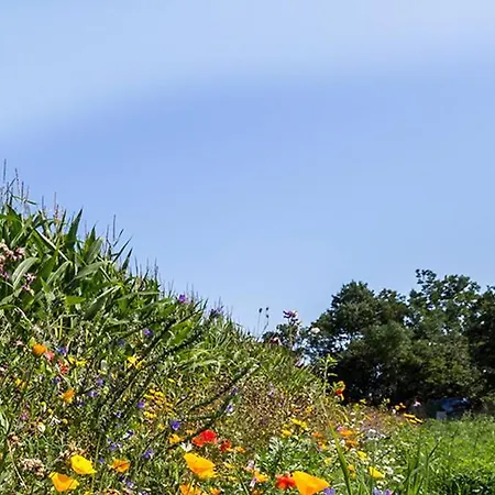 Lejlighed Meeresrauschen - Direkt Am